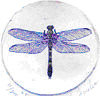 Logotype Dragonflycenter
